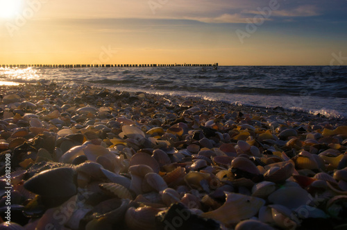 Shell beach by the sea on the Baltic Sea. Sunset, groynes in the background. Coast