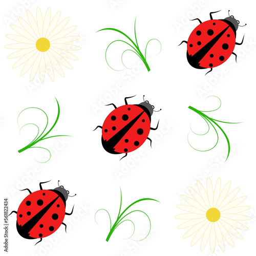 Ladybug and chamomile flowers seamless pattern for kids. Vector, illustration.