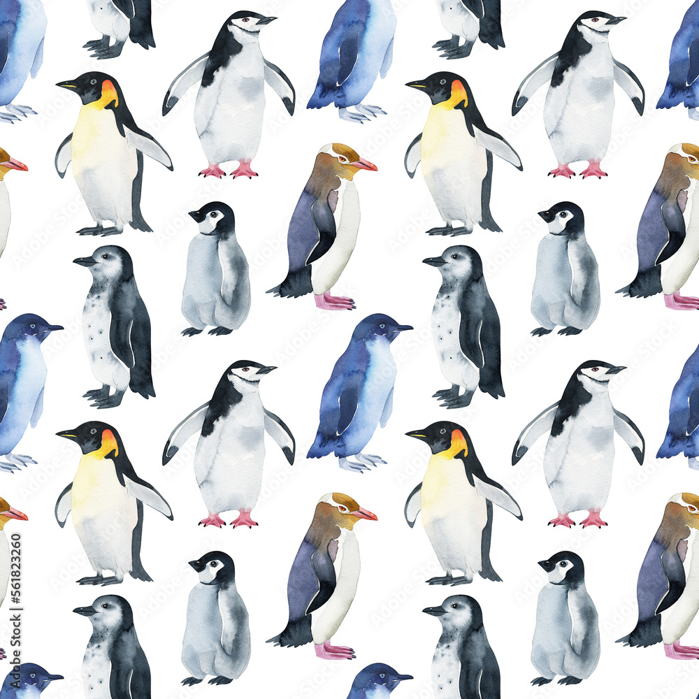 Obraz premium penguin pattern watercolor. watercolor cute penguin pattern. Watercolor cute animal. Watercolor cute bird. Hand painting isolated white background. birds. 