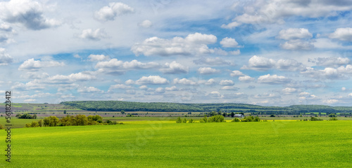 A wide field with green grass, trees and forest in the distance and a picturesque cloudy sky. Summer landscape with a green field