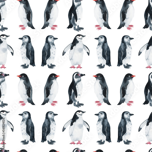 penguin pattern watercolor. watercolor cute penguin pattern. Watercolor cute animal.  Watercolor cute bird. Hand painting  isolated white background. birds. 