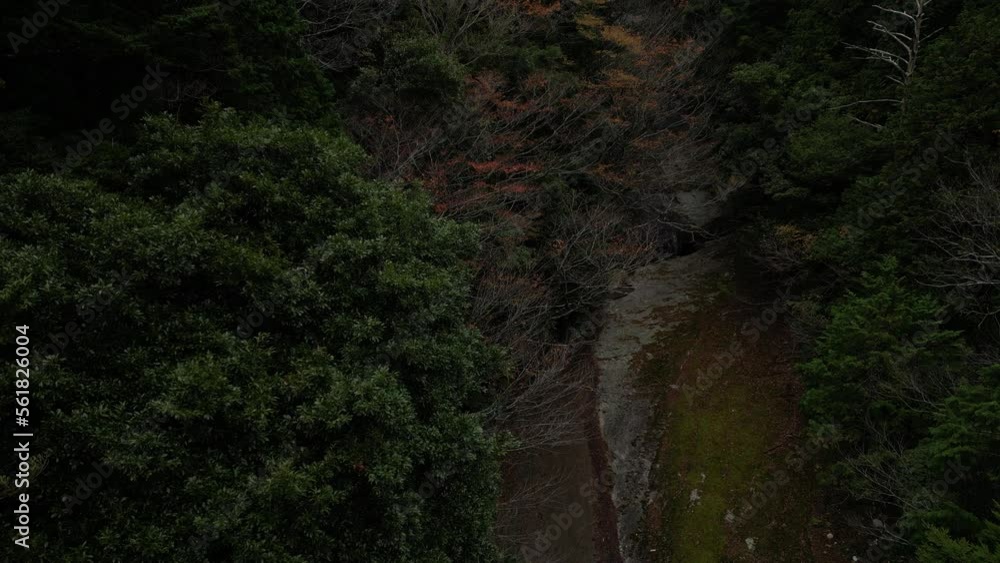 日本の滝百選　雪輪の滝　ドローン空撮