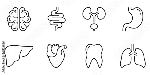 Human Brain, Intestine, Urinary System, Tooth, Stomach, Lung, Liver, Heart Line Icon Set. Healthcare Outline Icon. Internal Organ Anatomy Pictogram. Editable Stroke. Isolated Vector Illustration