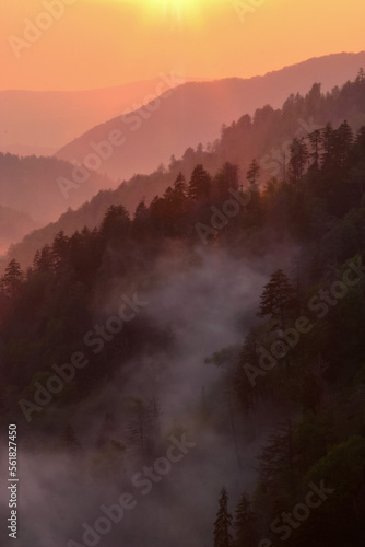 Foggy sunset. Great Smokey Mountains National Park  Tennessee.