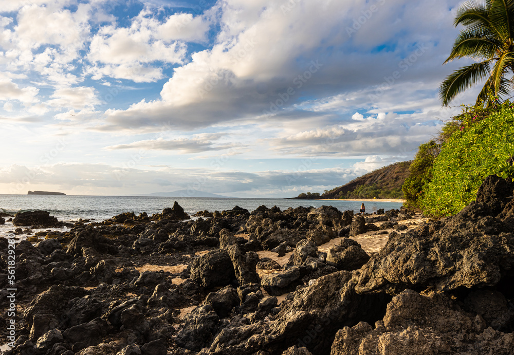 Palm Trees and Sand on Big Beach, Makena State Park, Maui, Hawaii, USA