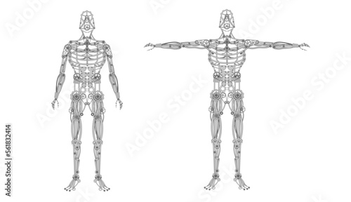 Mechanical human body. Iron automaton with humanoid structure and with closed and spread arms for techno vector anatomy