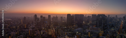 Panoramic aerial view of Osaka City on hazy morning before sunrise