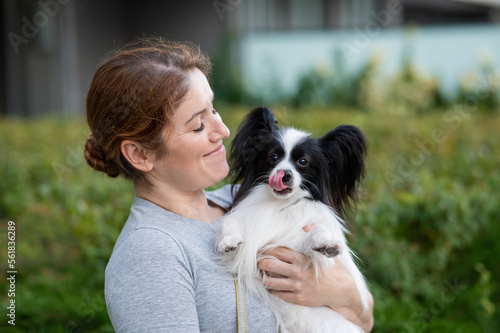 Caucasian red-haired woman holding pappilion dog in her arms outdoors. Black and white continental spaniel. photo