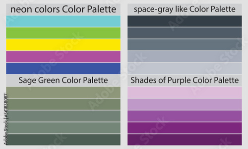 Color Palettes
A color palette is a set of colors used in a design or visual project. 