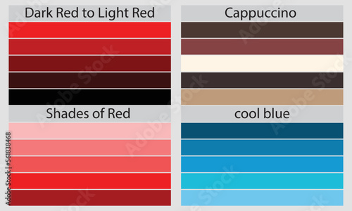Color Palettes
A color palette is a set of colors used in a design or visual project. 