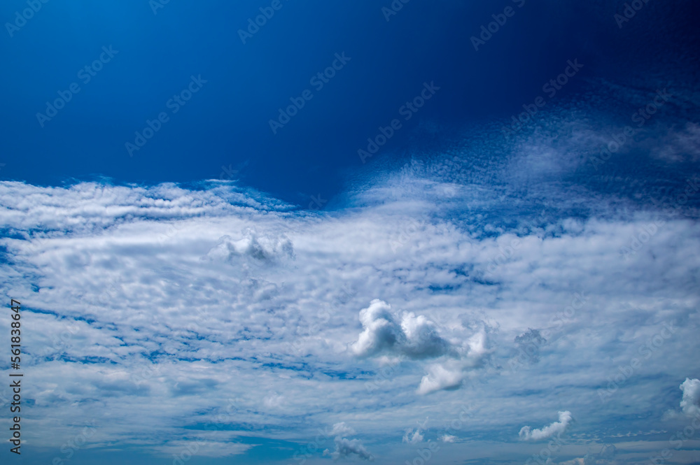 Obraz premium White cumulus clouds against the blue sky. White clouds. Blue sky. Fluffy cloud. Clear sunny day. Weather. Weather forecast. Summer season. Beauty in nature. Outdoors.