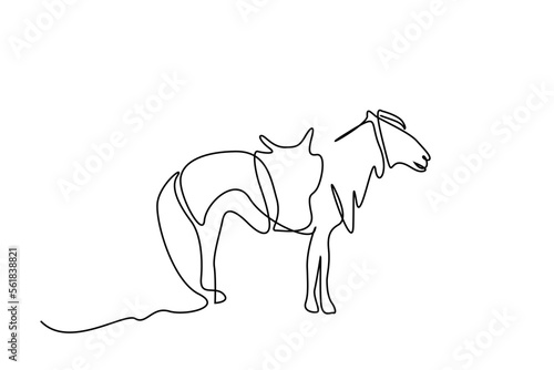 wildlife horse line art concept