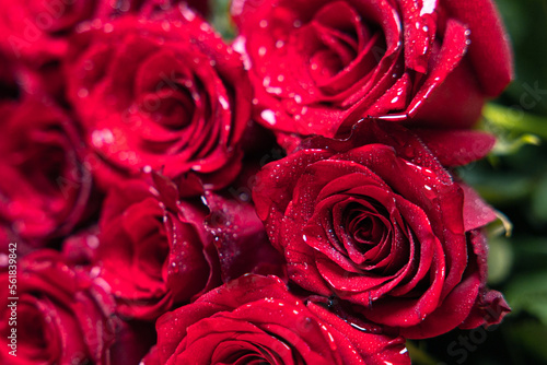 Red roses in a bouquet macro Water drops roses Background Valentine's Day