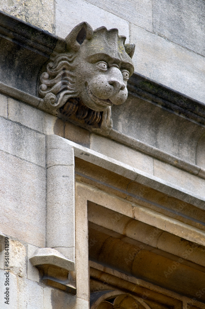 A carved lion-like gargoyle on an Oxford College UK with a detail of window