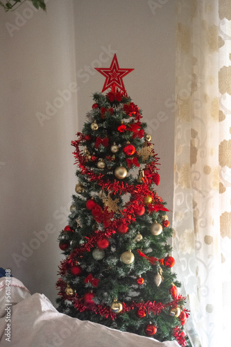 Christmas tree (ID: 561842888)