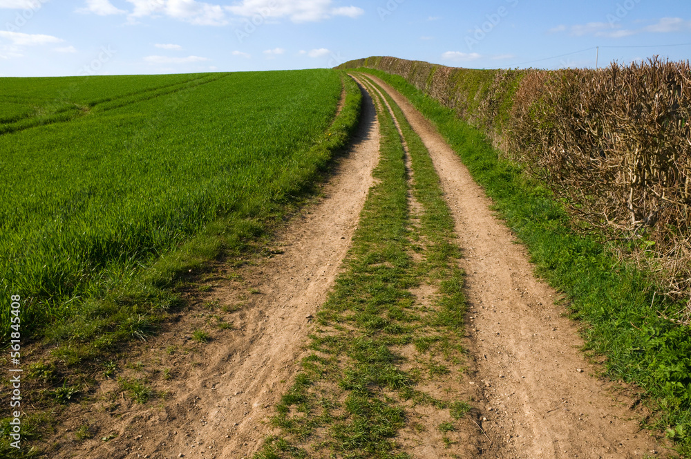 A peaceful track by a field and hedgerow in Oxfordshire UK near the River Cherwell A peaceful track by a field and hedgerow in Oxfordshire UK near the River Cherwell