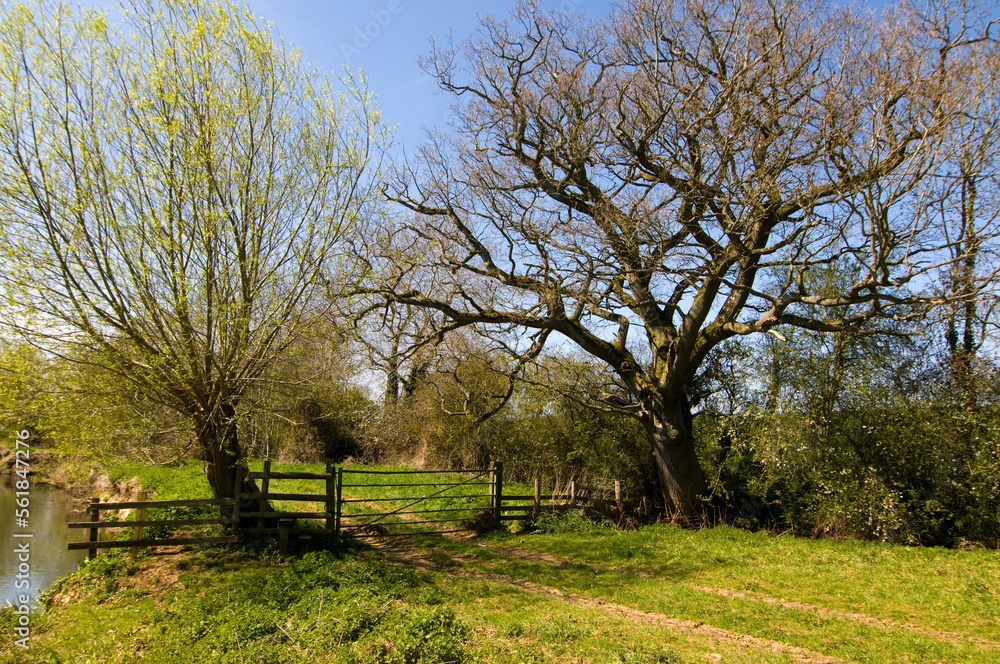 A gate across a country track on the bank of the River Cherwell in Oxfordshire, spring sunshine. A gate across a country track on the bank of the River Cherwell in Oxfordshire, spring sunshine.