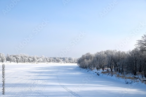 a frozen river lined with frost covered trees