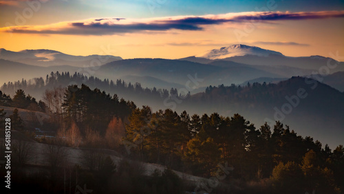 Fototapeta Naklejka Na Ścianę i Meble -  The misty landscape of snowy mountain Smerek, one of the peaks of Połonina Wetlińska in West Carpathian Mountains, Bieszczady, Poland