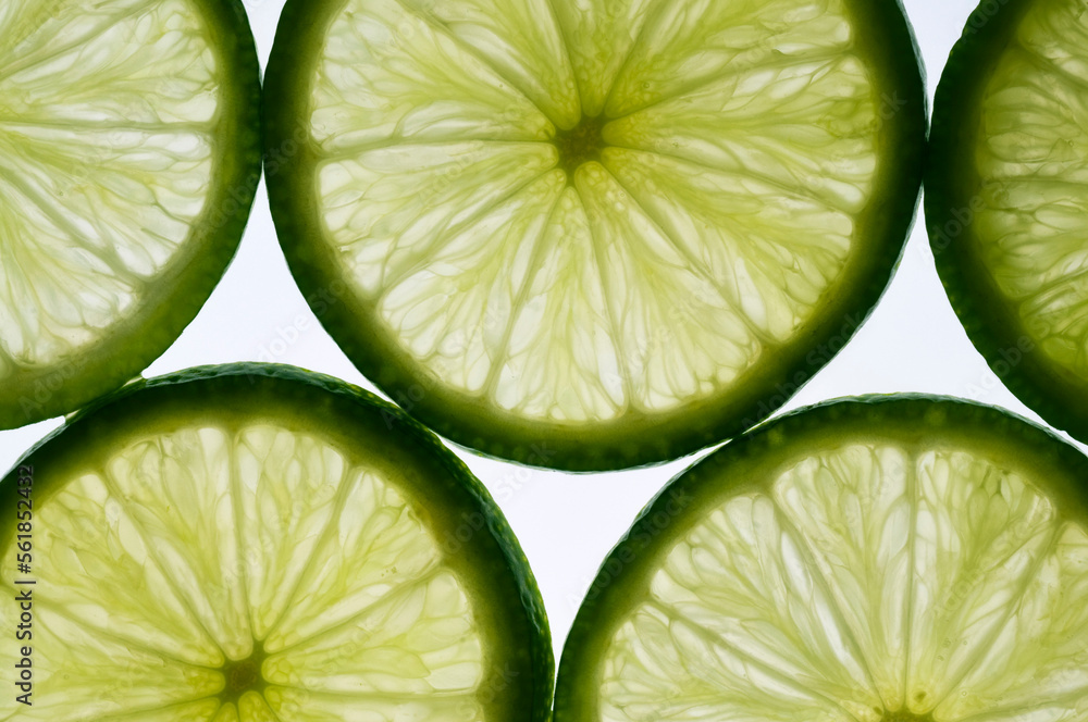 slices of lime, lit from behind. Isolated against white slices of lime, lit from behind. Isolated against white