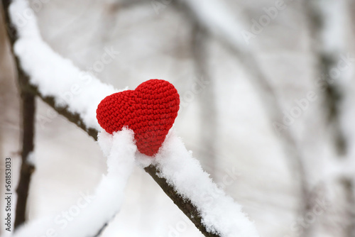 Valentines heart on tree branch covered with snow in winter forest. Red knitted symbol of love  concept of New Year celebration or Valentines day