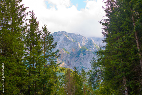 mountain side - logar valley Slovenia