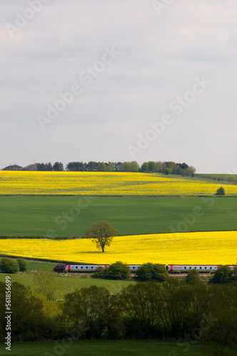 Virgin cross country train passing through fields in the cotswolds, Looking across the Cherwell valley in Spring.