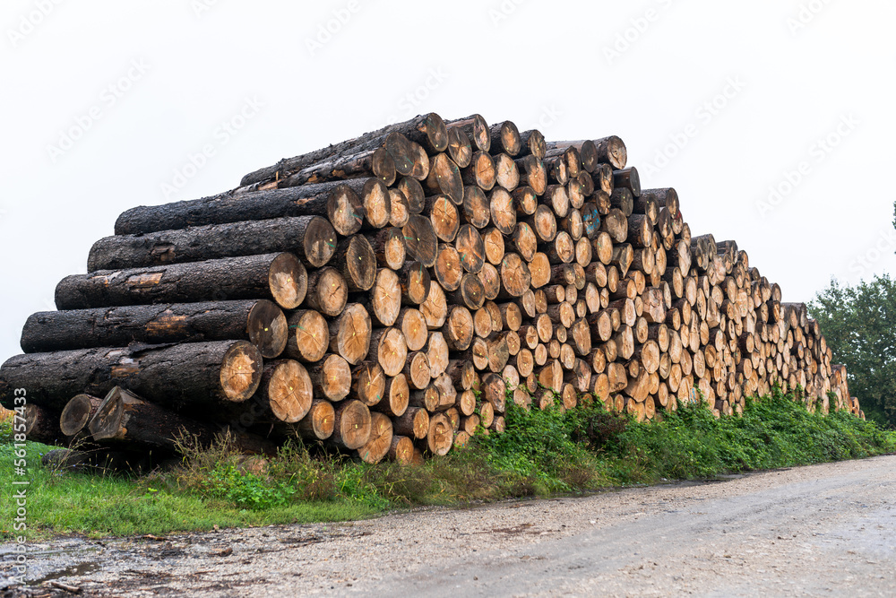 wood log firewood tree cut pile stack timber, oak, nature logs woodpile lumber trunk, brown texture forest trees pattern wooden industry stacked circle abstract natural forestry processing