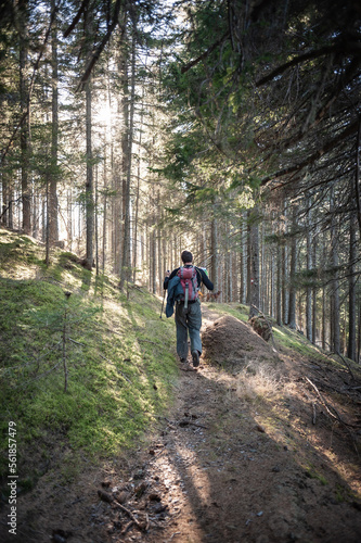man hiking on a trail in a carinthian forrest.