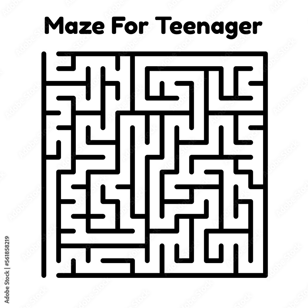 Maze Puzzle Maze Puzzle