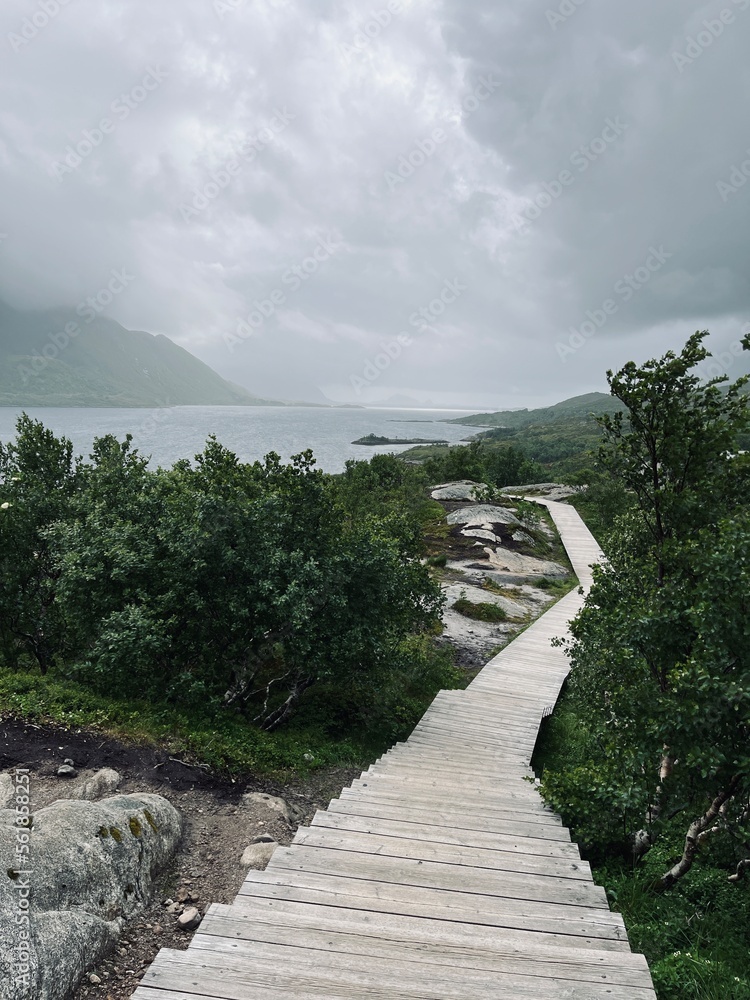 Fototapeta premium Fjords coastline, ocean bay coastline, cloudy foggy sky