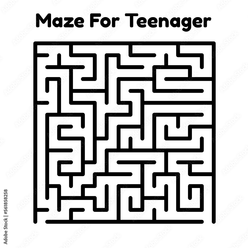 Maze Puzzle Maze Puzzle