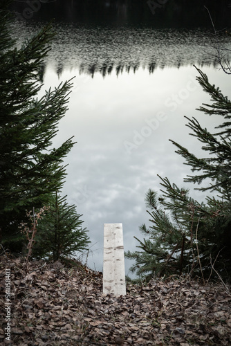 a wooden board between two trees leading into an alpine lake, inviting to jump in.