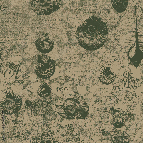 vector seamless pattern background with photo of ancient ammonite shells and trilobites and text loreum ipsum imitating paleontological catalog or encyclopedia. Suitable for wallpaper design