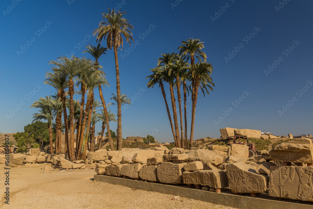 Palms in the ruins of Amun Temple enclosure in Karnak, Egypt