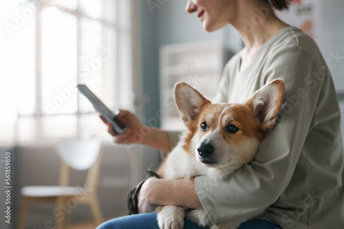 Photography Side view of young female owner of corgi dog using mobile phone