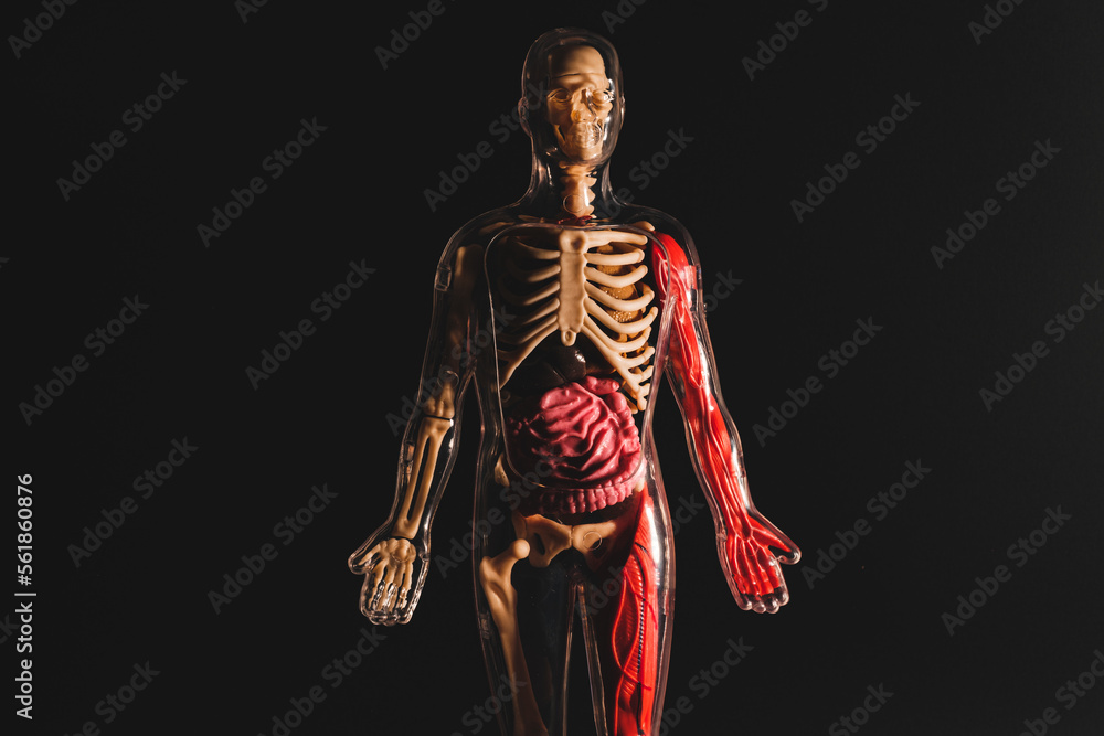 invisible man toy invisible man toy