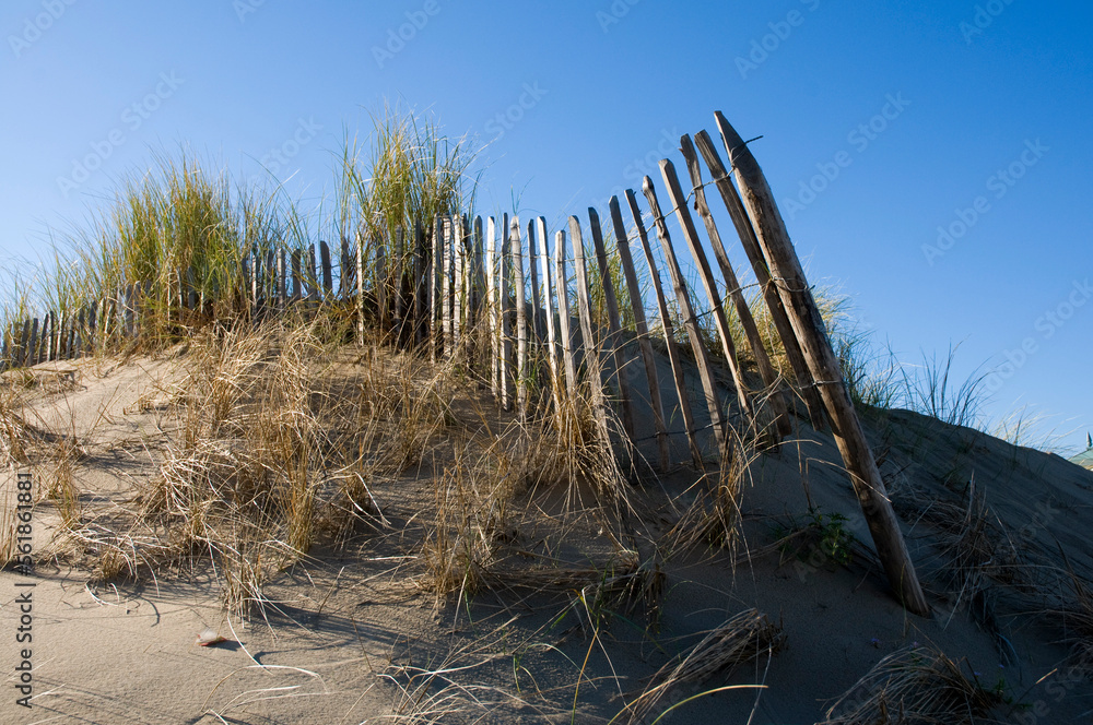 A collapsing fence on a sand dune, buried by sand.