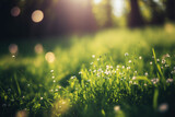 Fresh spring morning green grass with blurred background. AI