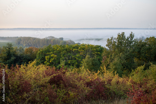 Brouillard dans la plaine