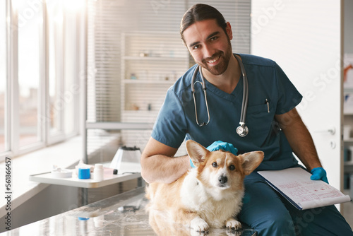 Happy young professional veterinary doctor with purebred corgi dog