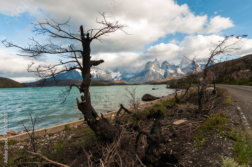 torres del paine, cuernos del paine, sur  de  chile, carretera  austral, árbol, naturaleza, paisaje, cielo, acuático, lago, río, árbol, mar, bosque, languidecer, verano, verde, impresiones, nube, mont