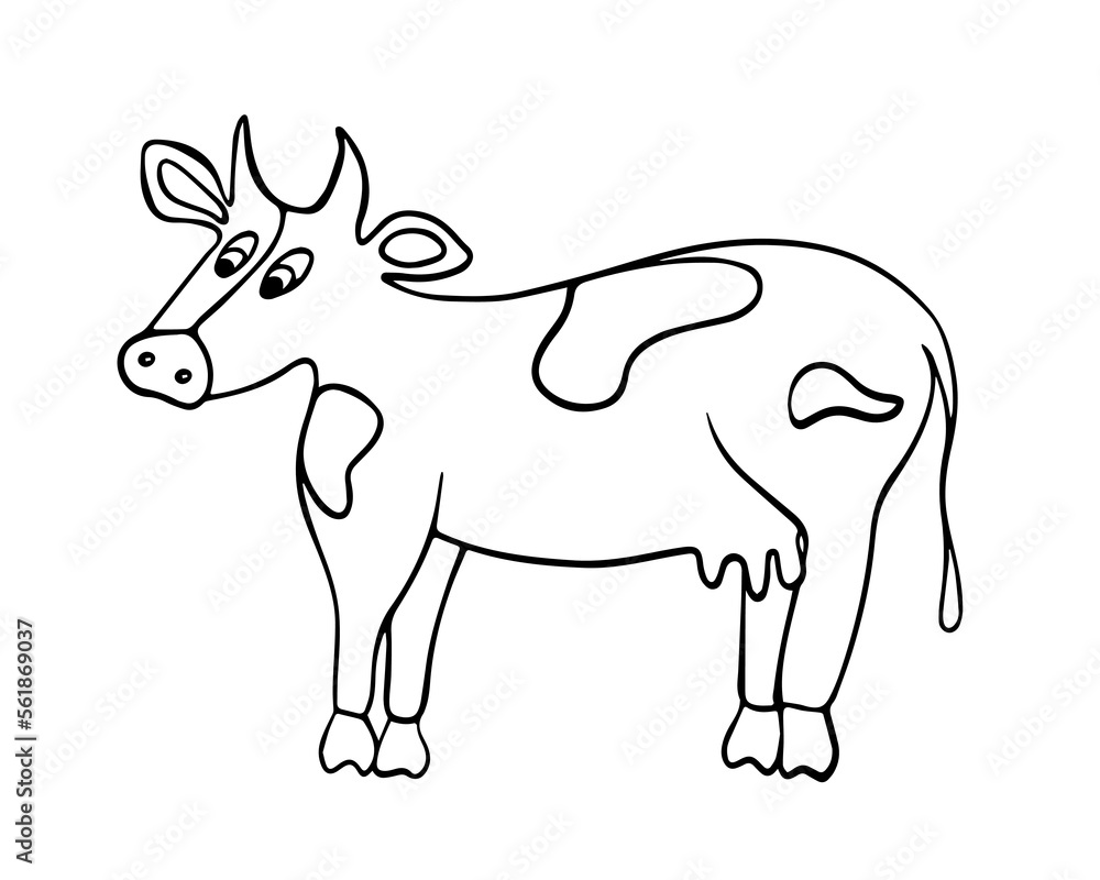 Vector isolated illustration of a cow coloring page.