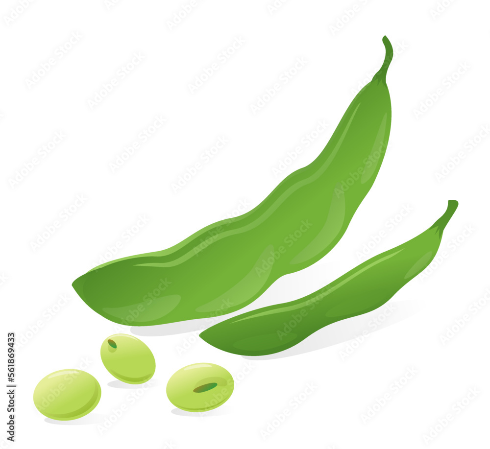 Fresh green soybean pod with seeds on white background Fresh green soybean pod with seeds on white background