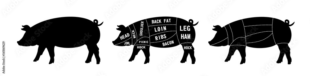 Meat cuts. Diagrams for butcher shop. Scheme of pork. Animal silhouette pork. Vector illustration. Meat cuts. Diagrams for butcher shop. Scheme of pork. Animal silhouette pork. Vector illustration.