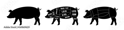 Meat cuts. Diagrams for butcher shop. Scheme of pork. Animal silhouette pork. Vector illustration.