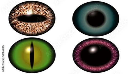 Hungry predator watches. Reptiles eyeball,  cats or dragons.