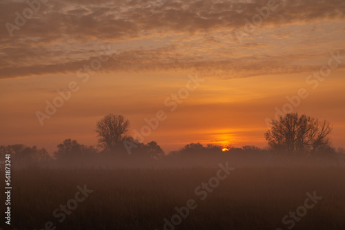 sunrise in the meadow