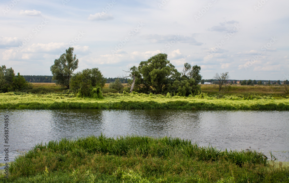A beautiful pastoral landscape - the bend of the Klyazma River among the picturesque banks in the Moscow region with green grass and trees and a cloudy sky and a space to copy