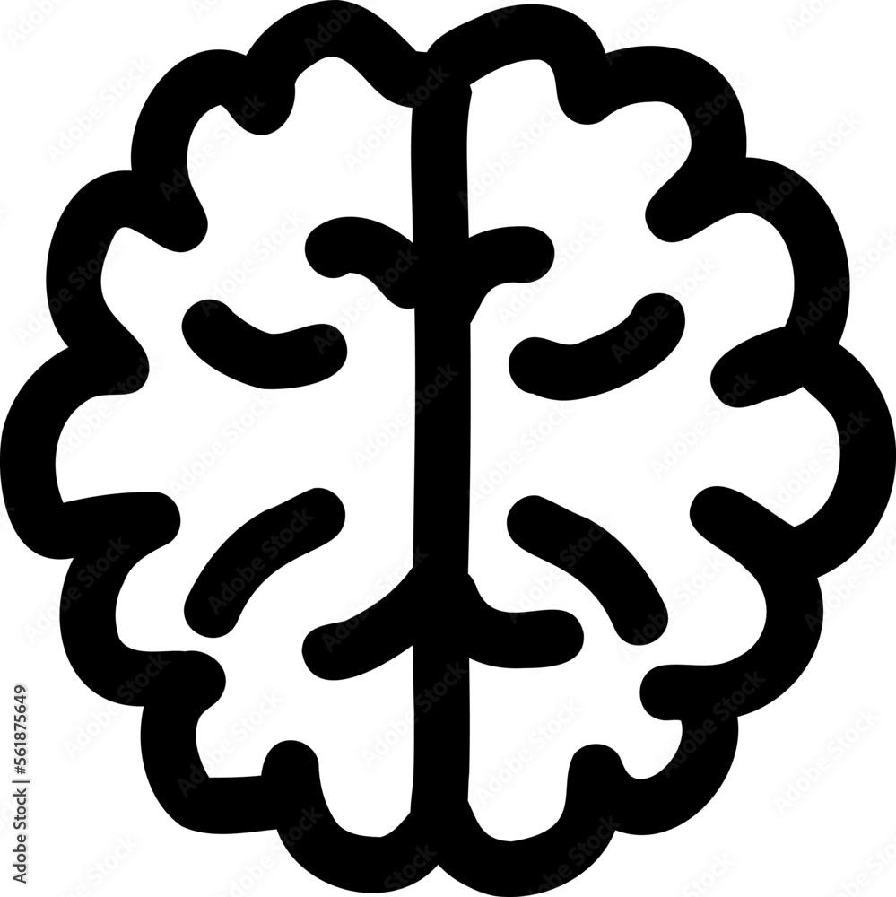 Human brain anatomy. Human brain anatomy.